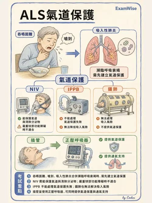 呼吸治療師 - 非侵襲性與居家通氣 - AI 圖文解析預覽