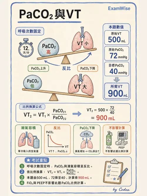 呼吸治療師 - 呼吸器監測與評估 - AI 圖文解析預覽