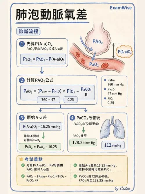 呼吸治療師 - 臨床設定、參數調整與脫離 - AI 圖文解析預覽