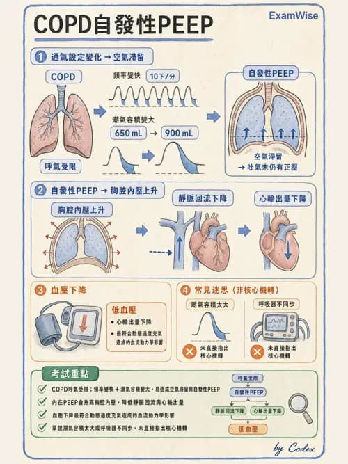 呼吸治療師 - 正壓通氣生理影響與合併症 - AI 圖文解析預覽