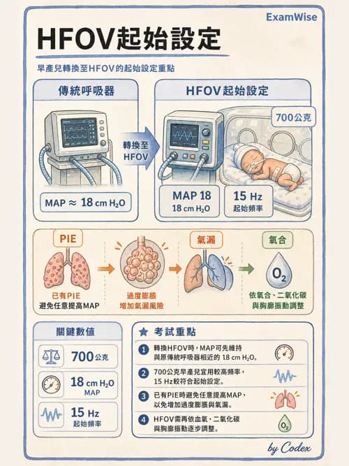 呼吸治療師 - 小兒呼吸器支持 - AI 圖文解析預覽