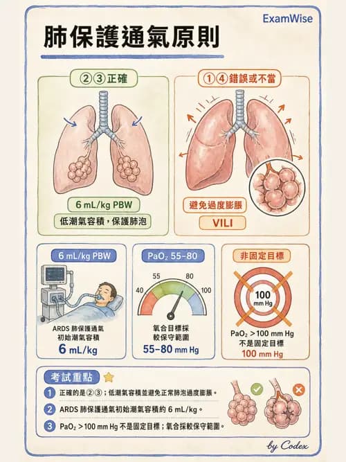 呼吸治療師 - ARDS與呼吸衰竭 - AI 圖文解析預覽