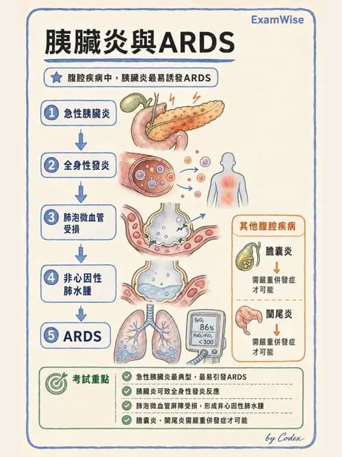 呼吸治療師 - ARDS與呼吸衰竭 - AI 圖文解析預覽