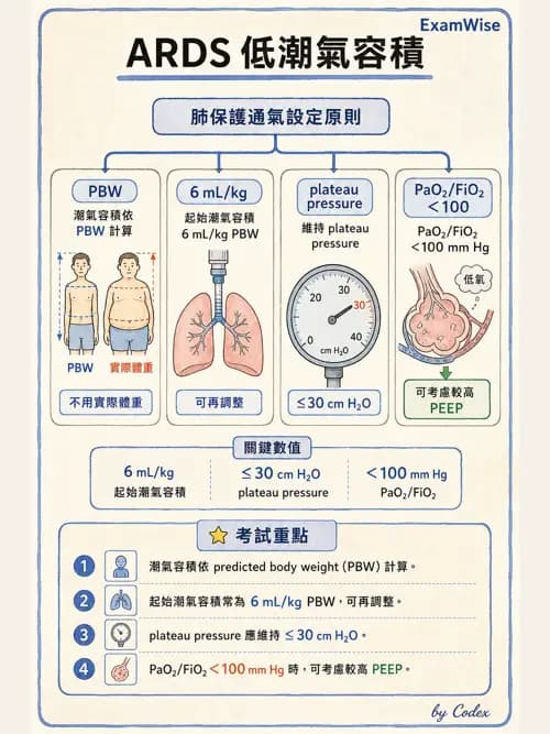 呼吸治療師 - ARDS與呼吸衰竭 - AI 圖文解析預覽