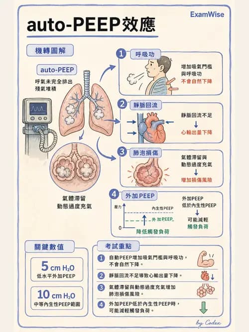 呼吸治療師 - 心臟疾病與COPD重症 - AI 圖文解析預覽