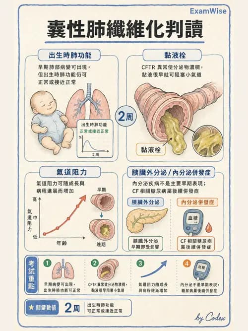 呼吸治療師 - 小兒相關重症 - AI 圖文解析預覽