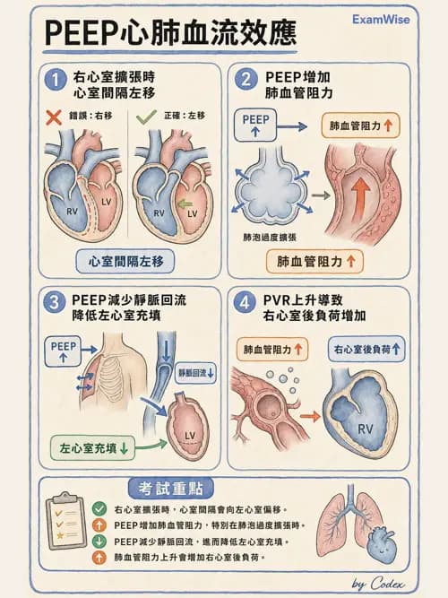 呼吸治療師 - 心臟疾病與COPD重症 - AI 圖文解析預覽
