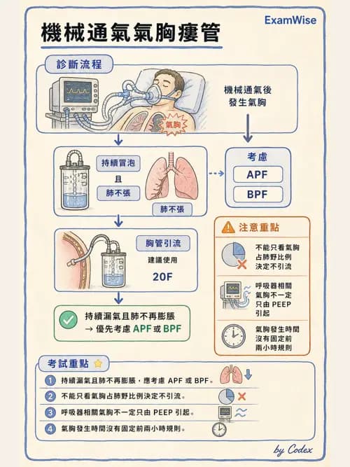 呼吸治療師 - 呼吸器併發症與感染 - AI 圖文解析預覽