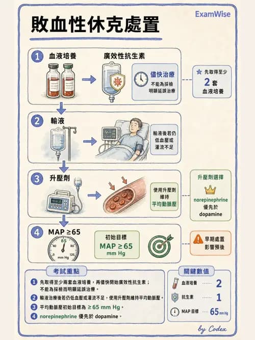 呼吸治療師 - 休克、敗血症與多器官衰竭 - AI 圖文解析預覽