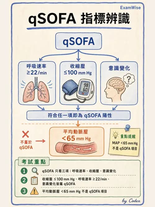 呼吸治療師 - 休克、敗血症與多器官衰竭 - AI 圖文解析預覽