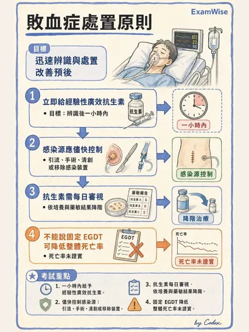 呼吸治療師 - 休克、敗血症與多器官衰竭 - AI 圖文解析預覽