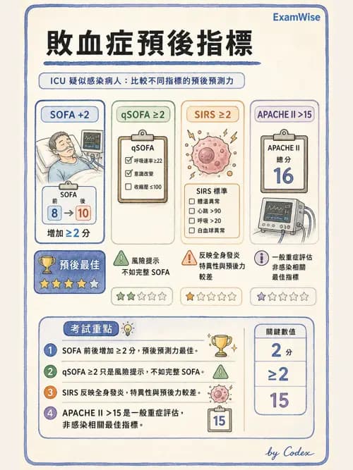 呼吸治療師 - 休克、敗血症與多器官衰竭 - AI 圖文解析預覽