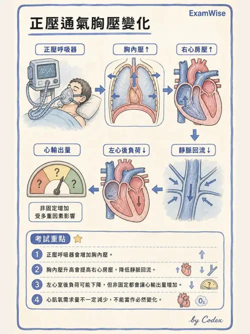 呼吸治療師 - 呼吸器併發症與感染 - AI 圖文解析預覽