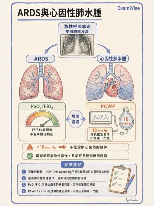 呼吸治療師 - ARDS與呼吸衰竭 - AI 圖文解析預覽