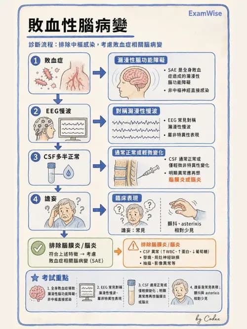 呼吸治療師 - 休克、敗血症與多器官衰竭 - AI 圖文解析預覽