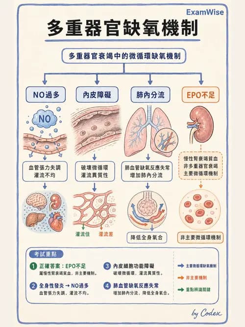 呼吸治療師 - 休克、敗血症與多器官衰竭 - AI 圖文解析預覽
