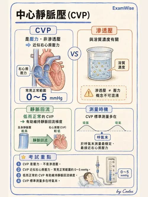 呼吸治療師 - 重症監測與判讀 - AI 圖文解析預覽