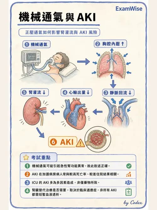 呼吸治療師 - 休克、敗血症與多器官衰竭 - AI 圖文解析預覽