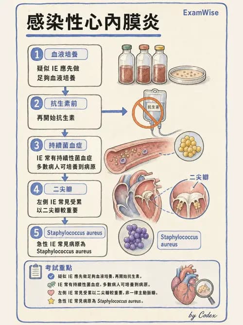 呼吸治療師 - 心臟疾病與COPD重症 - AI 圖文解析預覽