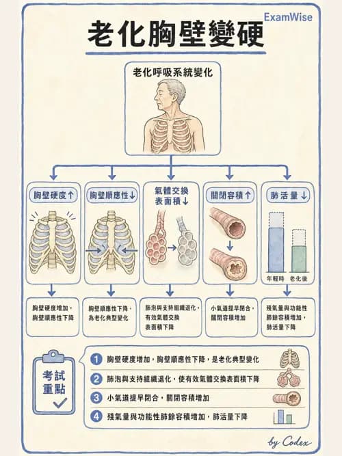 呼吸治療師 - 術後與其他呼吸重症 - AI 圖文解析預覽