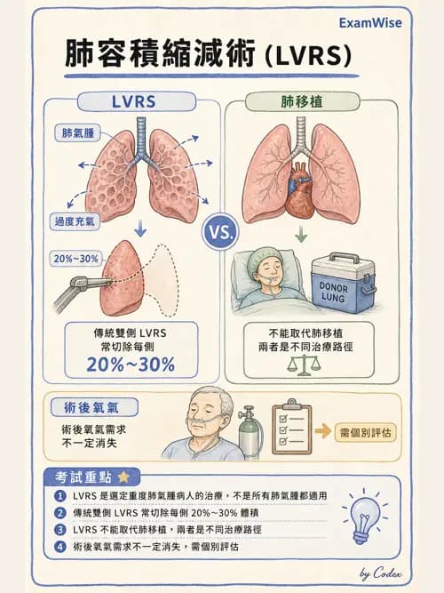 呼吸治療師 - 術後與其他呼吸重症 - AI 圖文解析預覽
