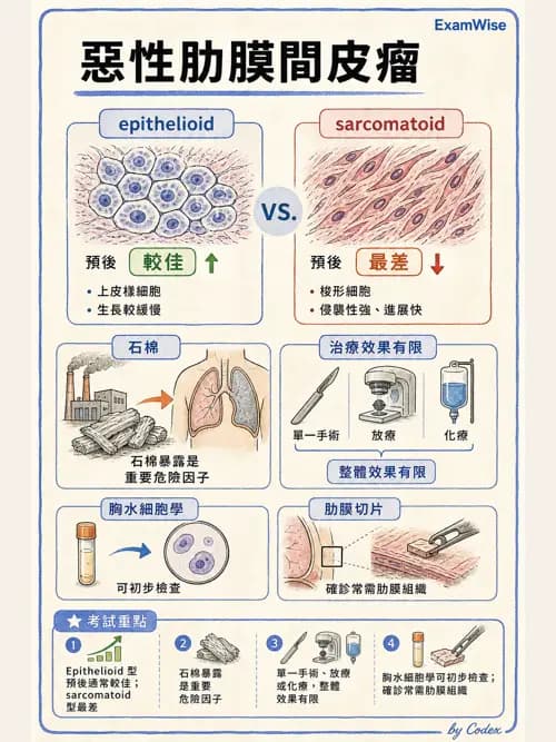 呼吸治療師 - 術後與其他呼吸重症 - AI 圖文解析預覽
