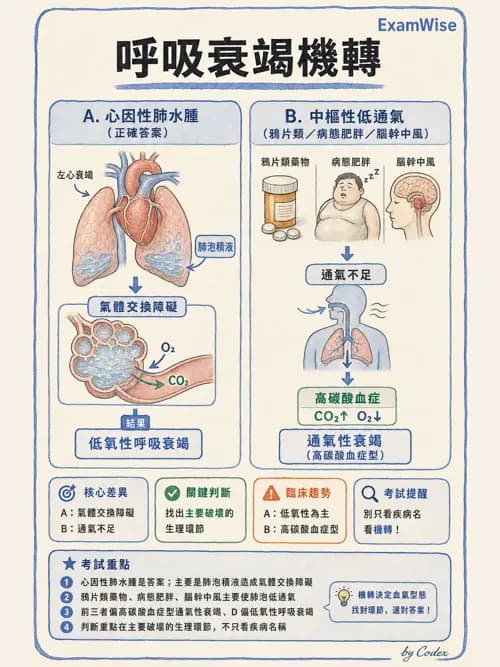 呼吸治療師 - ARDS與呼吸衰竭 - AI 圖文解析預覽