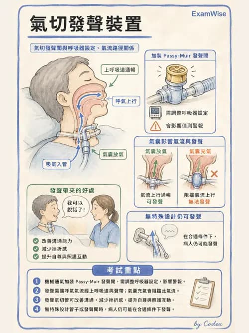 呼吸治療師 - 術後與其他呼吸重症 - AI 圖文解析預覽