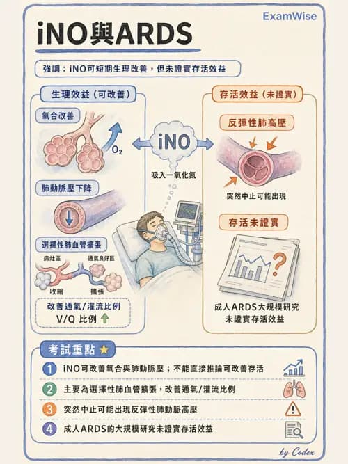 呼吸治療師 - 重症特殊處置 - AI 圖文解析預覽
