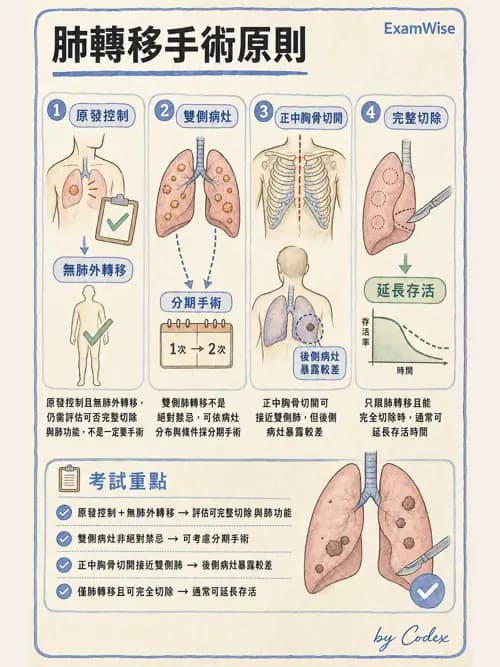 呼吸治療師 - 術後與其他呼吸重症 - AI 圖文解析預覽