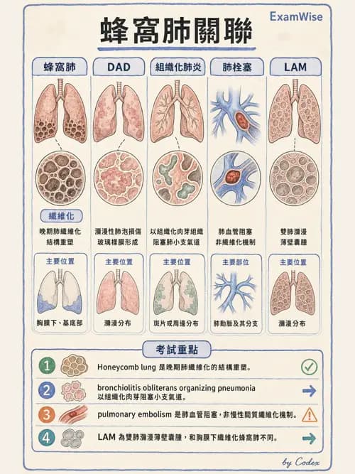 呼吸治療師 - 術後與其他呼吸重症 - AI 圖文解析預覽