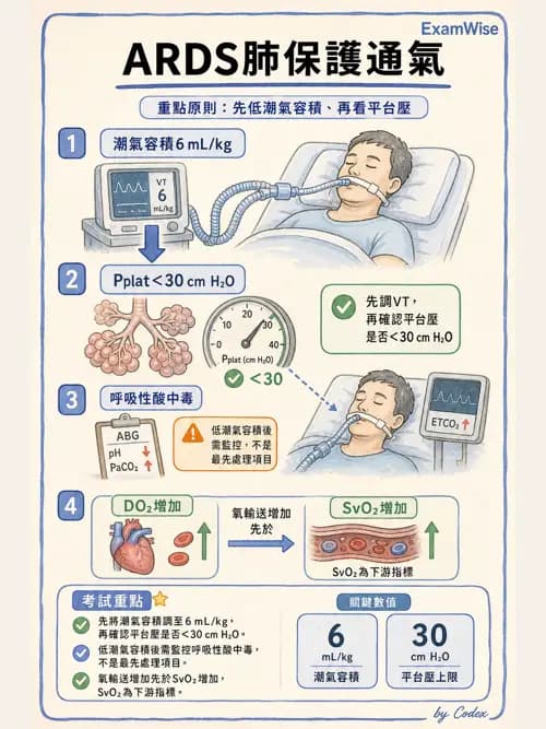 呼吸治療師 - ARDS與呼吸衰竭 - AI 圖文解析預覽