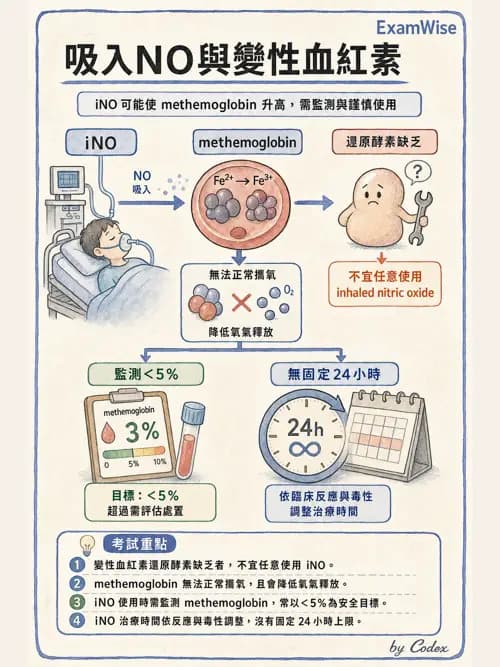 呼吸治療師 - 重症特殊處置 - AI 圖文解析預覽