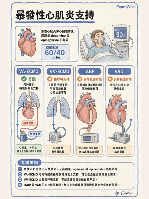 呼吸治療師 - 重症特殊處置 - AI 圖文解析預覽