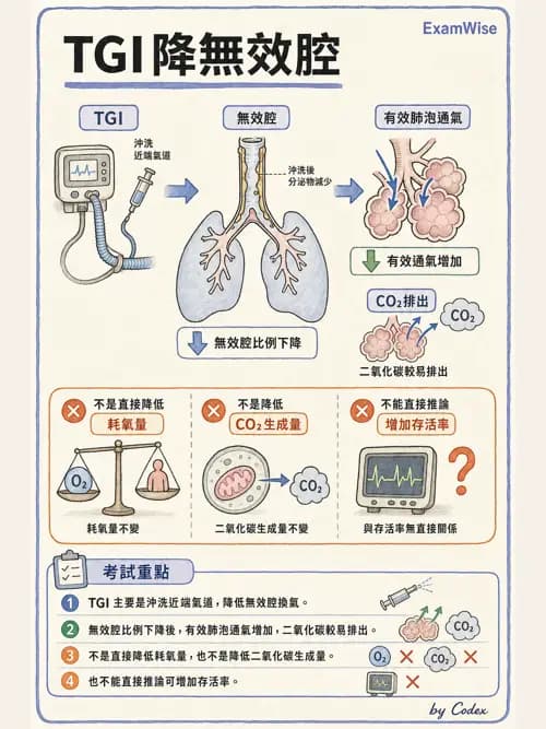 呼吸治療師 - 心臟疾病與COPD重症 - AI 圖文解析預覽