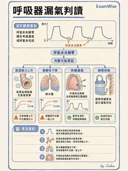 呼吸治療師 - 重症監測與判讀 - AI 圖文解析預覽