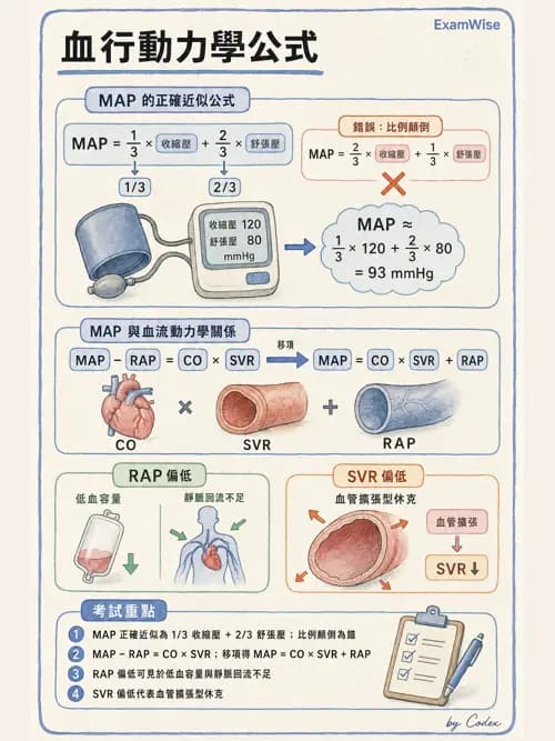 呼吸治療師 - 重症監測與判讀 - AI 圖文解析預覽