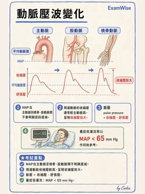 呼吸治療師 - 重症監測與判讀 - AI 圖文解析預覽