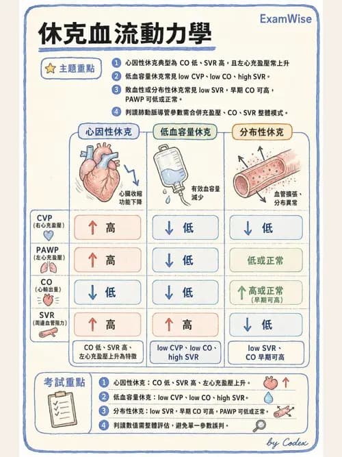 呼吸治療師 - 重症監測與判讀 - AI 圖文解析預覽