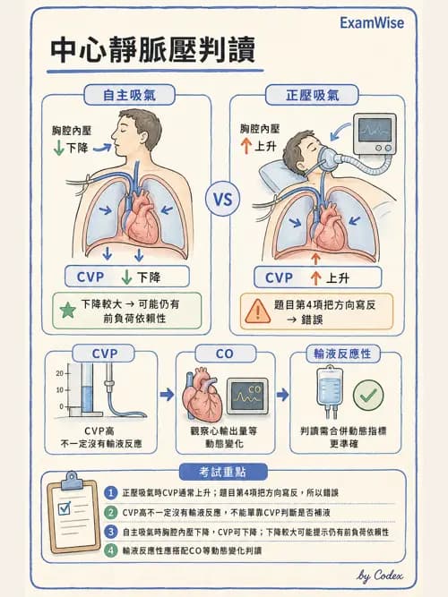 呼吸治療師 - 重症監測與判讀 - AI 圖文解析預覽