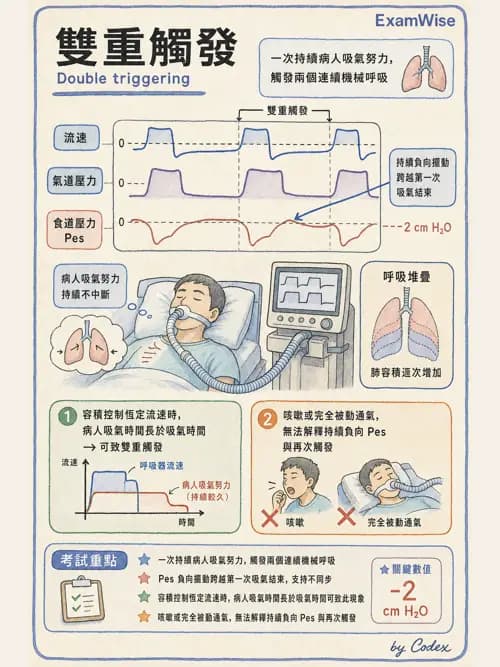 呼吸治療師 - 重症監測與判讀 - AI 圖文解析預覽