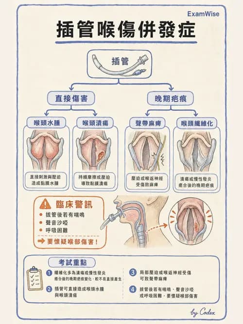 呼吸治療師 - 呼吸器併發症與感染 - AI 圖文解析預覽
