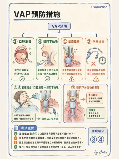 呼吸治療師 - 呼吸器併發症與感染 - AI 圖文解析預覽