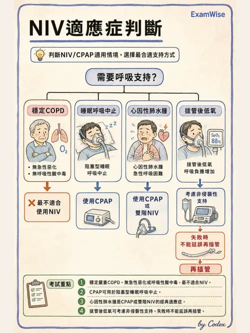 呼吸治療師 - ARDS與呼吸衰竭 - AI 圖文解析預覽