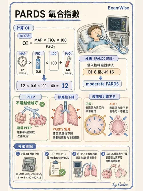 呼吸治療師 - 小兒相關重症 - AI 圖文解析預覽