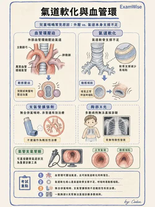 呼吸治療師 - 小兒相關重症 - AI 圖文解析預覽