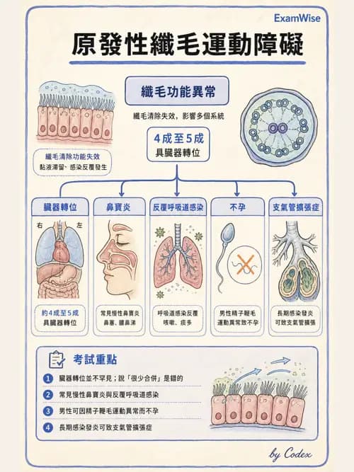 呼吸治療師 - 小兒相關重症 - AI 圖文解析預覽