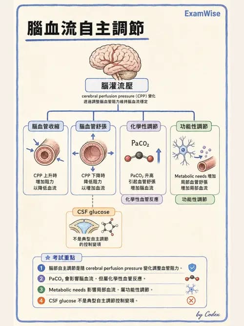 呼吸治療師 - 重症監測與判讀 - AI 圖文解析預覽