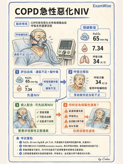 呼吸治療師 - 心臟疾病與COPD重症 - AI 圖文解析預覽