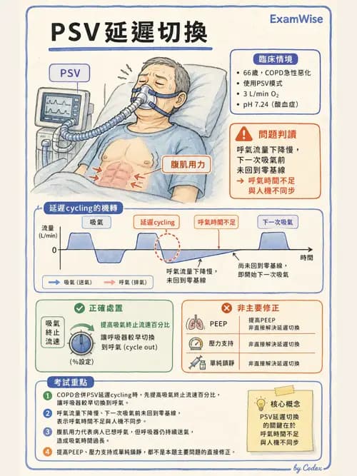 呼吸治療師 - 心臟疾病與COPD重症 - AI 圖文解析預覽